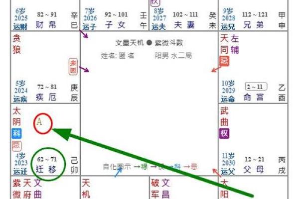 紫薇斗数看领导