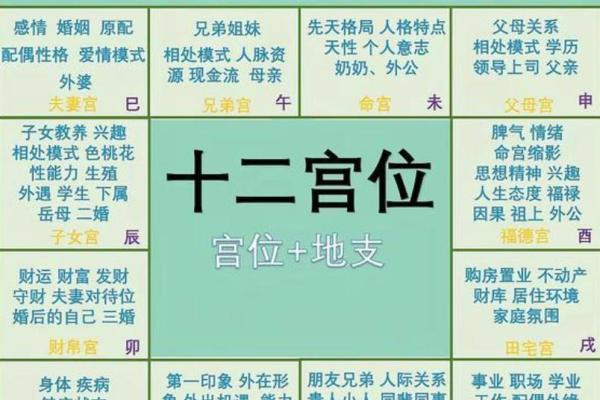 紫薇斗数拍盘