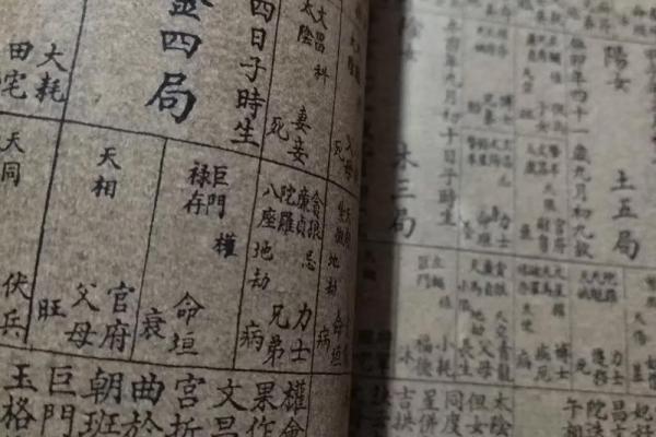 紫微斗数资料- 紫微斗数资料pdf百度网盘？