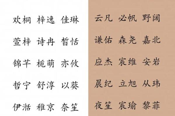 2019年6月9号寅时出生的男孩如何起名姓名