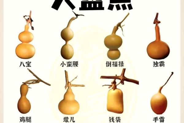 风水学什么属相不能挂葫芦及化解方法