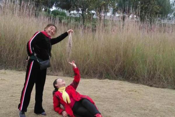 友谊缘分测试 友情缘分测试？