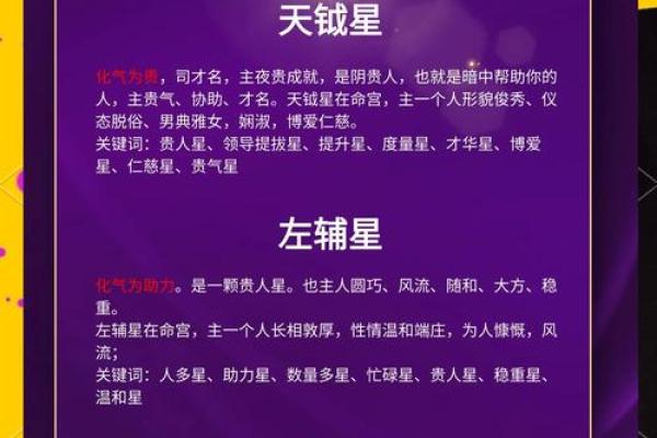 天贵星紫薇斗数