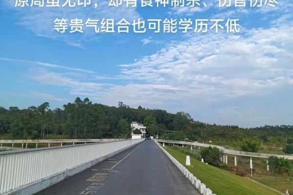 八字无印的女命,八字无印就是最大的印