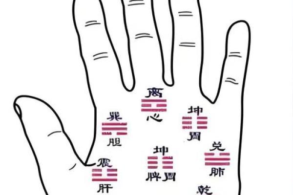 梦到男童给自己看手纹算命