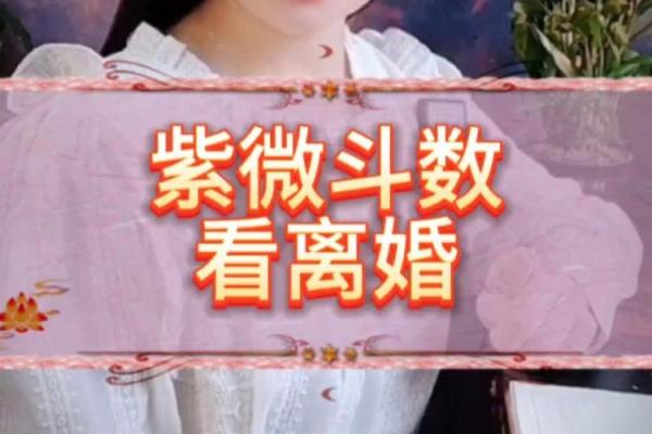 紫薇斗数看哪年离婚