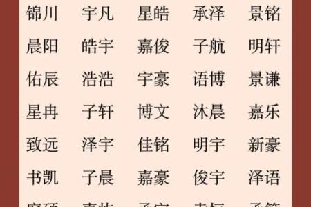 晚上11点出生的属蛇男孩如何起名，宜用哪些字姓名