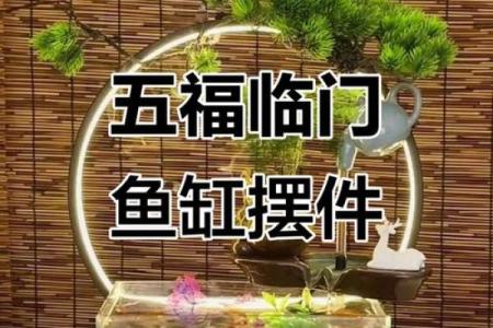 房子东面放鱼缸的风水