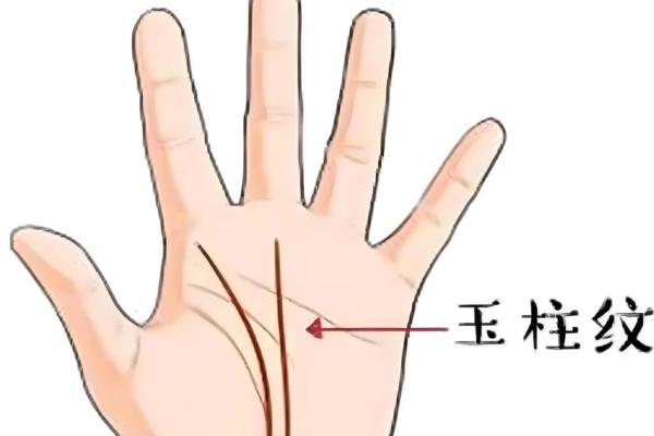 女人脚纹算命图解,脚丑的女人的命运