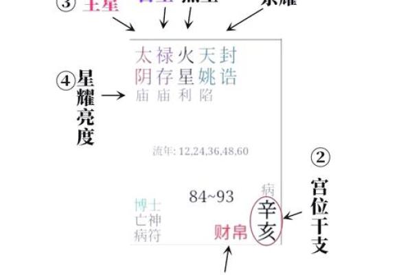 紫微星入命宫与其他星曜之关系分析#紫微斗数教学