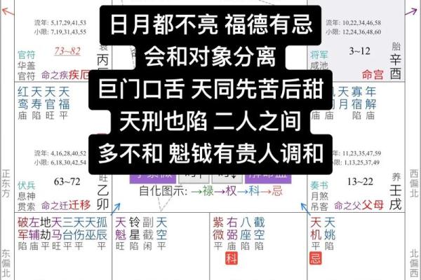 紫薇斗数文昌科