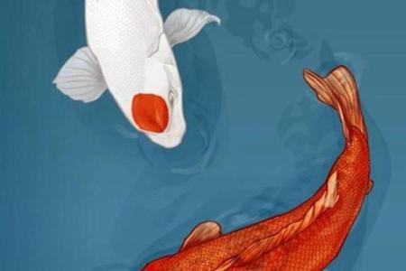 塔罗测试：活捉锦鲤！好运究竟离你有多远？