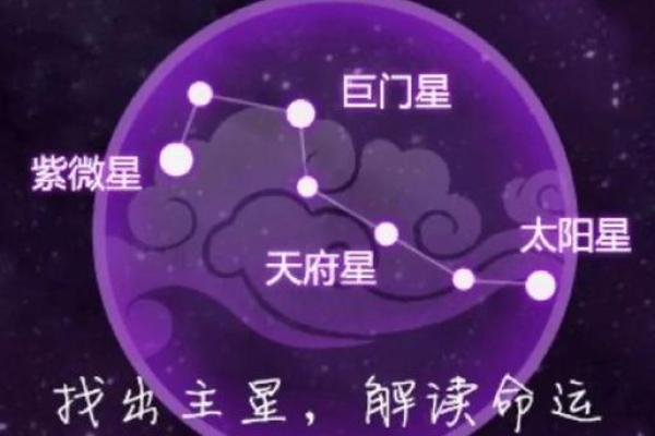 紫微斗数紫薇星