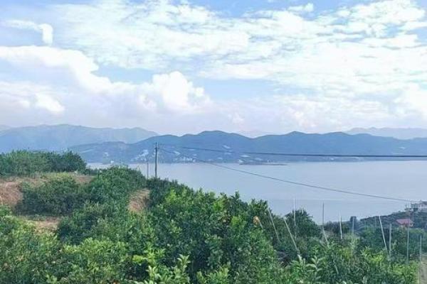 紫薇斗数大财太阴铃星