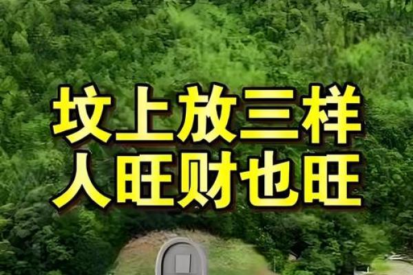 什么样的墓地好风水可旺子孙