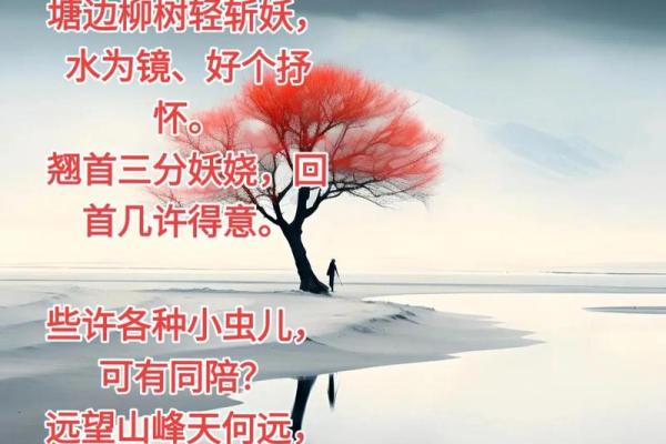 能够让你早日摘得桃花归的风水