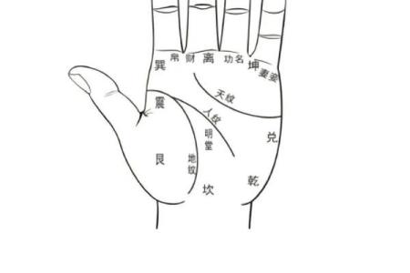 怎么看手相女八字命理详解