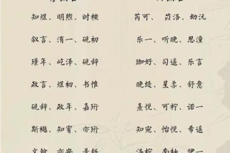 2019年3月24号亥时出生的男孩起名时要注意什么姓名