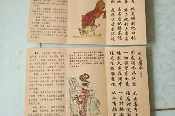 文王八卦算命,算事业免费最准