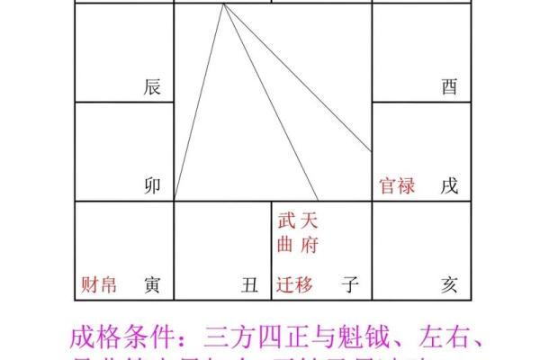紫微斗数司法 紫微斗数怎么看官司？
