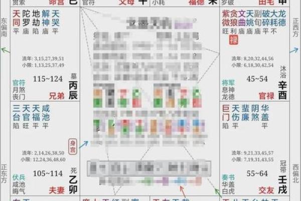 紫薇斗数看做什么