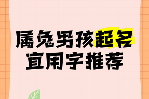 3月份出生的属兔男孩适合取什么名字姓名