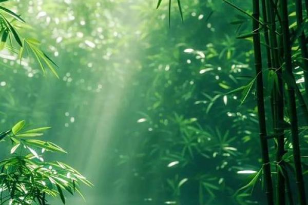 八字喜木水 八字喜木水