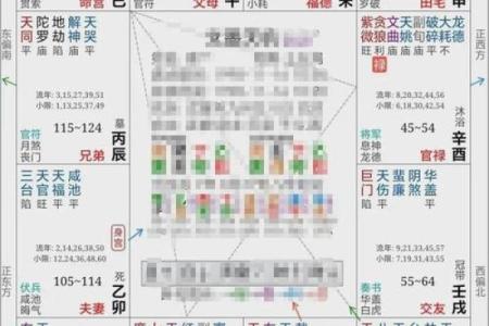 紫薇斗数看做什么