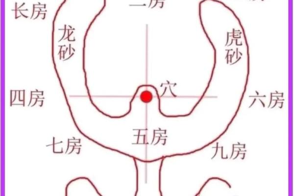 九宫八卦分房！学习风水的入门