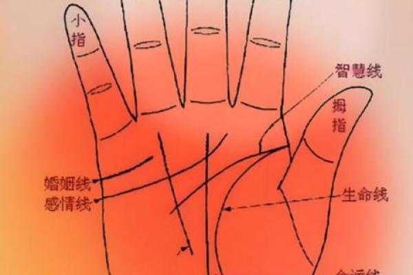 凯帝阿手相算命图解大全05 凯帝阿手相算命图解大全05