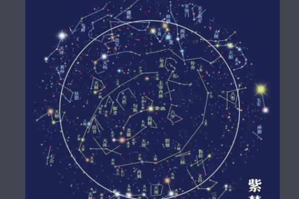排紫薇斗数星盘