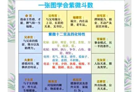 夫妻宫没有紫薇斗数