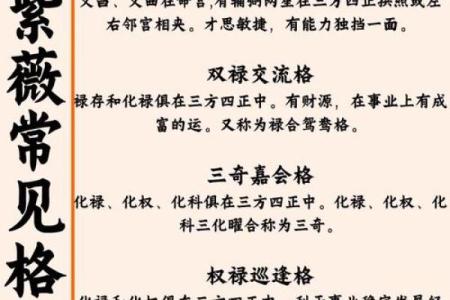 大运紫微斗数命盘查询详解 紫微斗数大运什么意思？