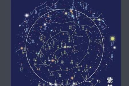 排紫薇斗数星盘