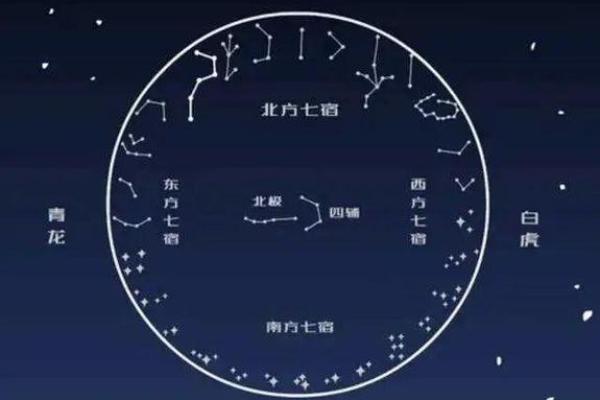 紫薇斗数天月星