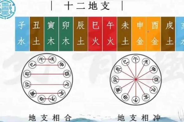 八字十二地支三合六合详细解说