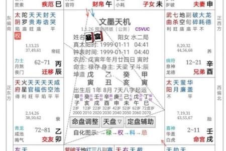 紫薇斗数解析排盘