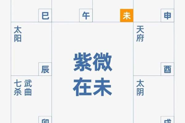 紫微斗数与生子吉时 紫微斗数确定出生时辰? 紫微斗数与生子吉时 紫微斗数确定出生时辰?