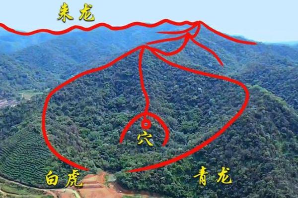 教你学会怎样看风水墓地宝地