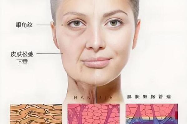 面部衰老八字图