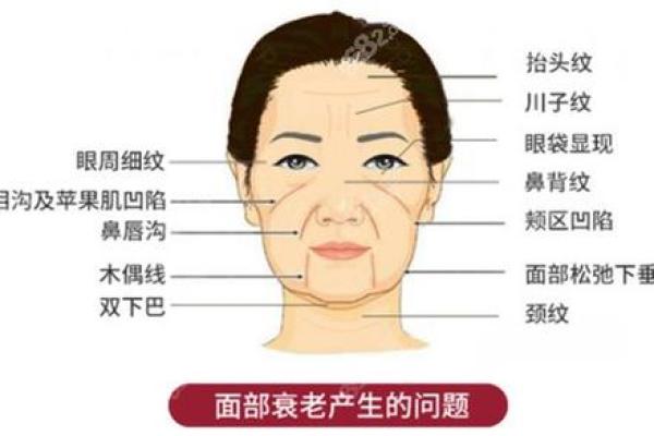 面部衰老八字图