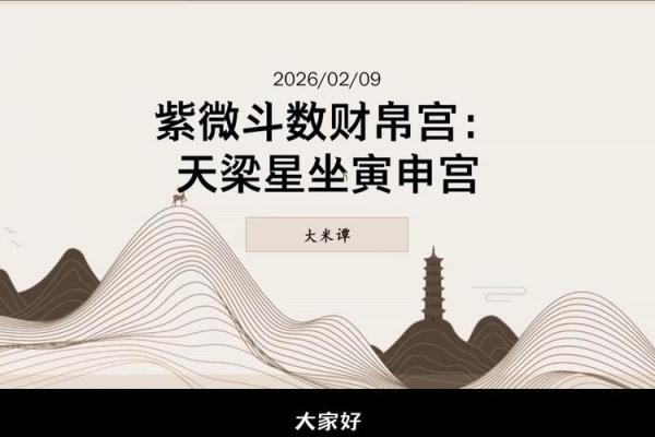 紫薇斗数财帛宫天同平