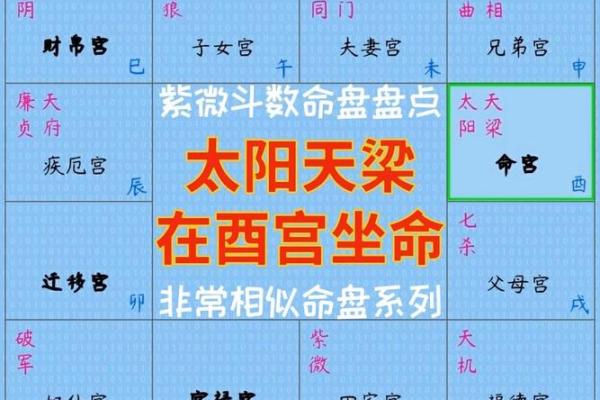 紫微斗数太阳星在各宫的影响