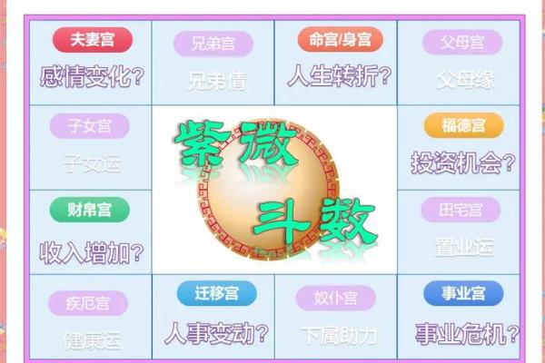 紫薇斗数父母职业