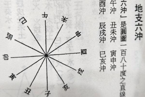 八字在午 八字在午