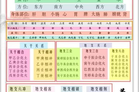 八字命理入门基础知识「方便初学」