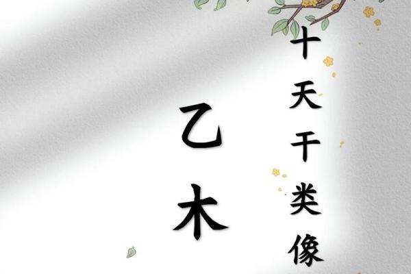 八字论乙木 八字论乙木