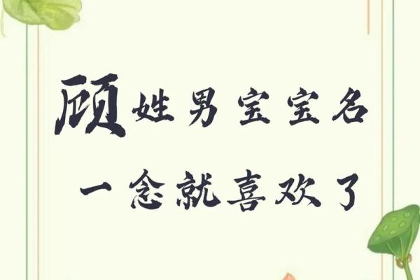 顾姓女孩名字大全-顾姓女孩起名字大全-顾姓名字大全姓名