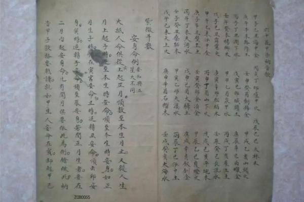 紫薇斗数书入门 紫薇斗数书入门