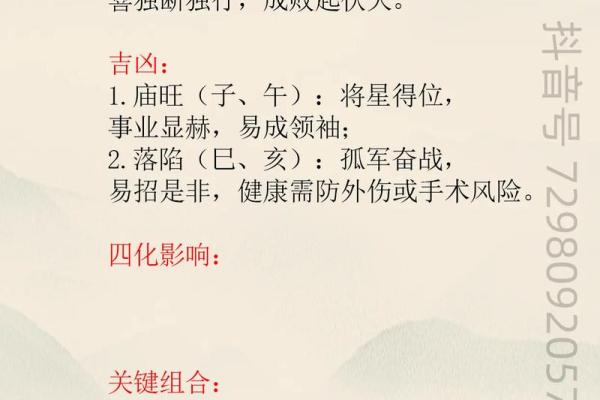 紫薇斗数书入门 紫薇斗数书入门
